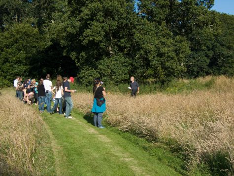 Auf der Suche nach dem Kastell - bei York, Nordengland