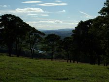 In Schottland am Fuße der Highlands