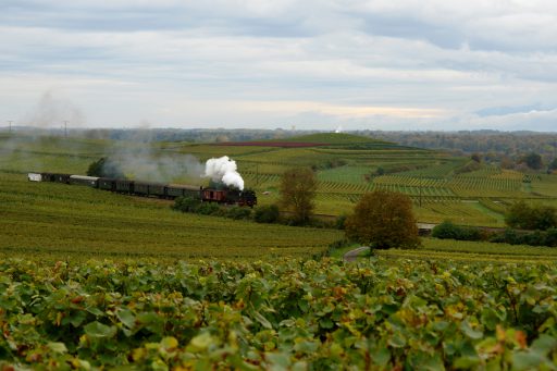 Rebenbummler, Kaiserstuhl