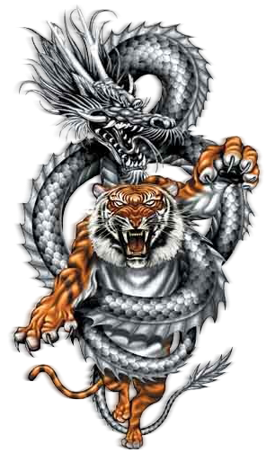 Dragon_Tiger