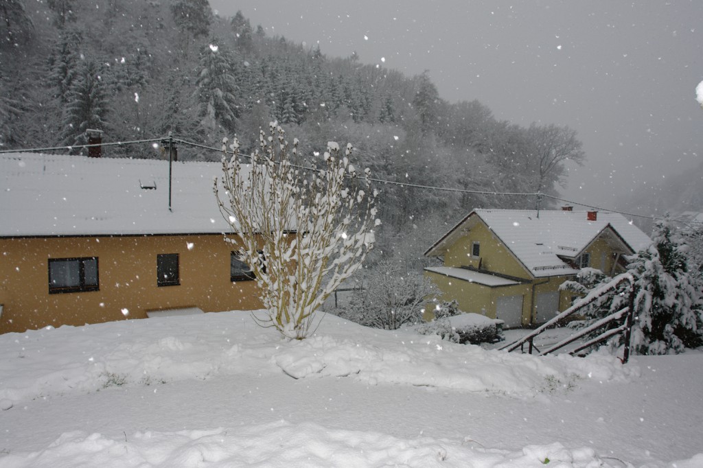 Schnee! <3 Es ist so schön!