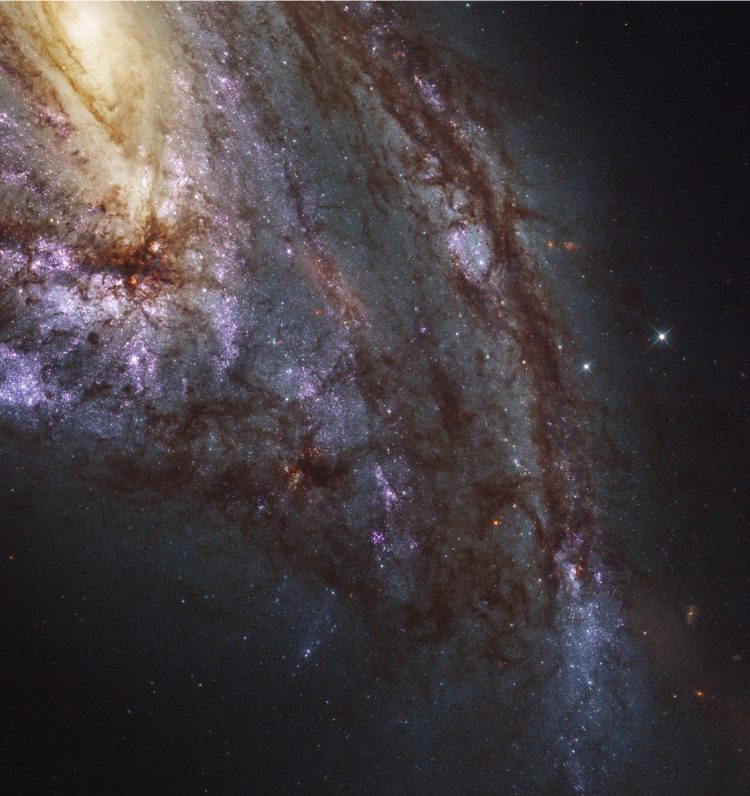 M66 bzw. NGC3637