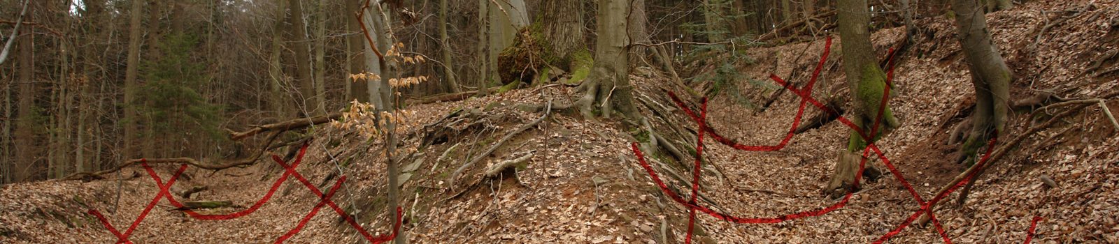 Die alte Verbindung zwischen Schönau und Ziegelhausen