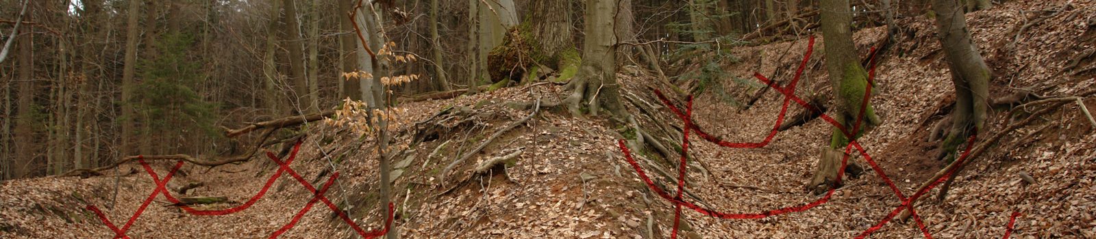 Die alte Verbindung zwischen Schönau und Ziegelhausen