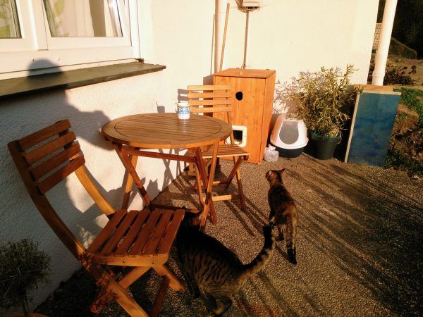 Terassenmöbel entwintert und Tisch mit Cappucino-Tasse bewaffnet!