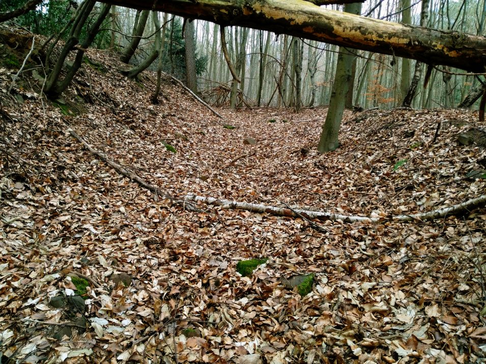 Hohlweg von der Heidelberger Hirschgasse hoch zur Kreuzung "Zollstock" auf dem Heiligenberg