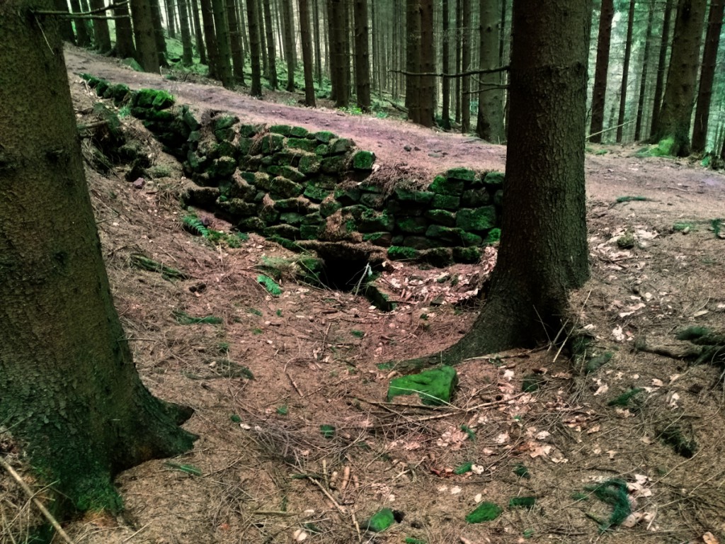 Hier hat man aus den vielen herumliegenden Steinen eine kleine Brücke über meinen Hohlweg gebaut. Frechheit - was, wenn den nun jemand noch nutzen will?