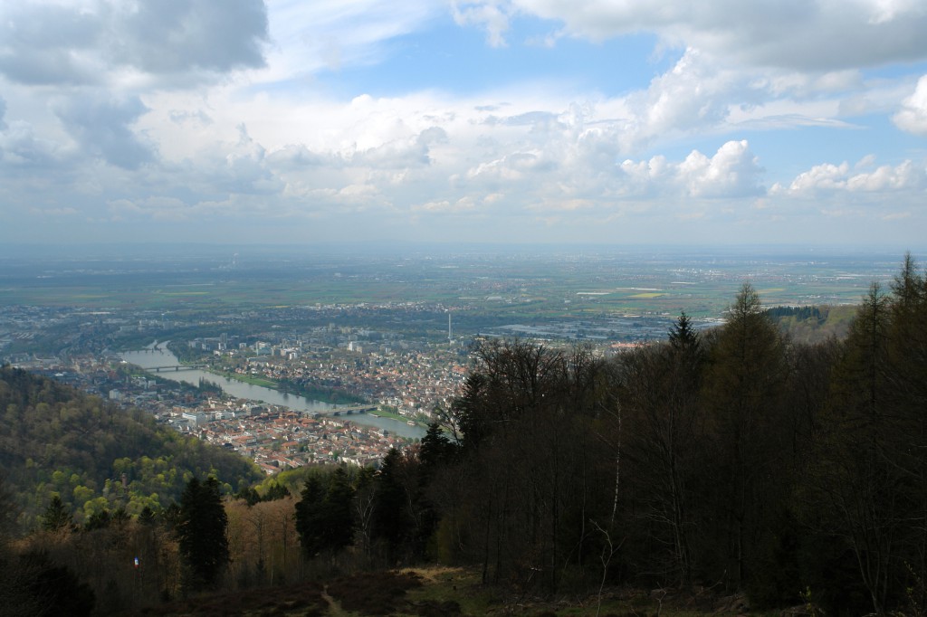 Ausblick vom Königstuhl!