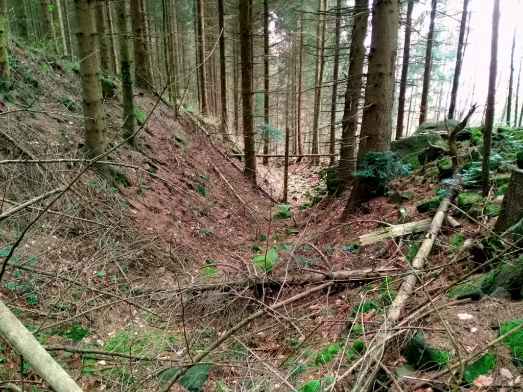 Hohlweg auf dem Heidelberger Königsstuhl