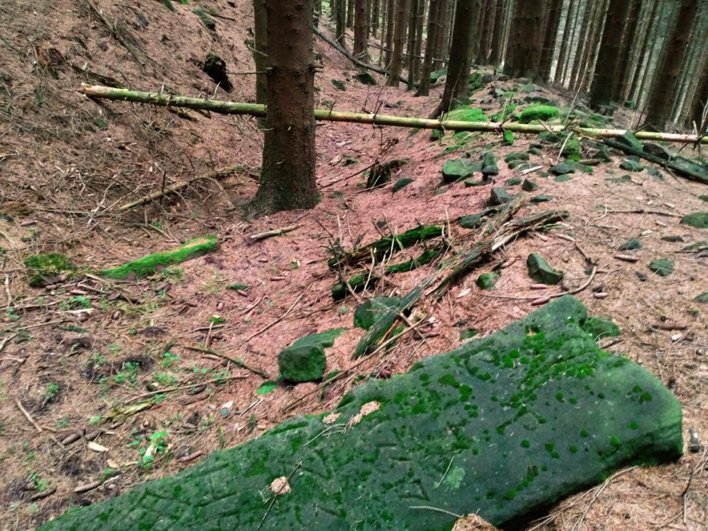 Markierungsstein mitten ihm Hohlweg