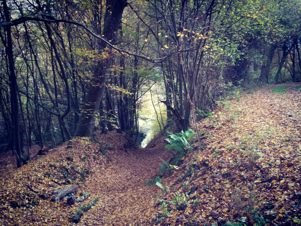 Hohlweg bei Hirschhorn