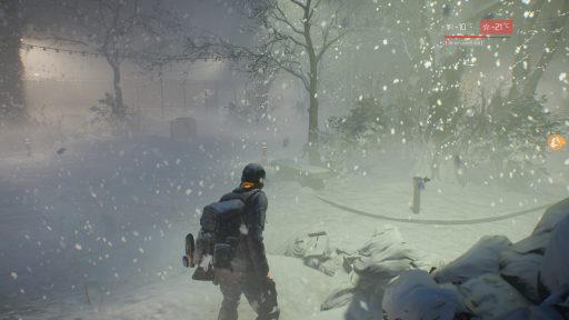 Tom Clancys The Division, Survival, Schneesturm