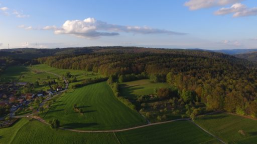 Drohnen-Luftbild mit Wald und Feldern