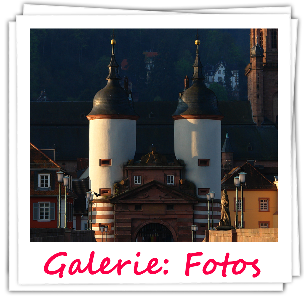 Fotogalerie