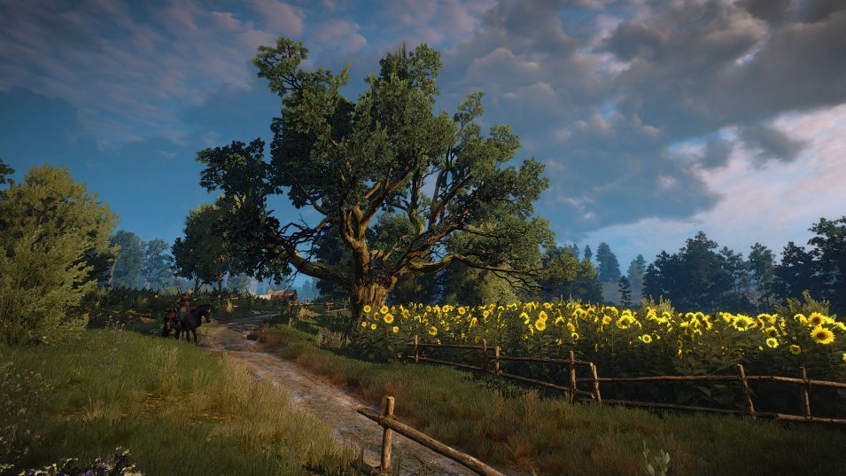 Witcher 3 - Sonnenblumen