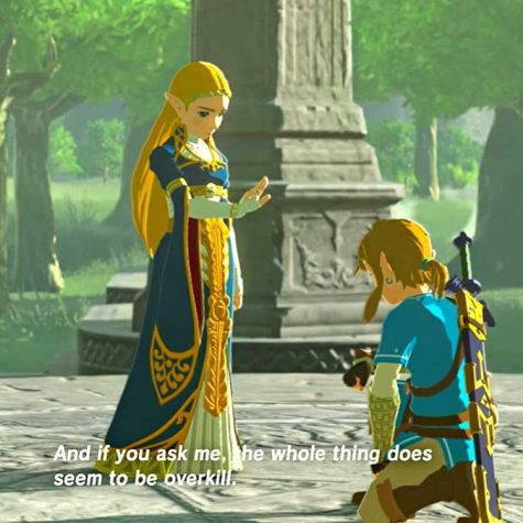 Zelda in Breath of the Wild