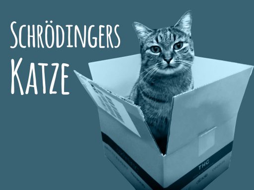 Schrödingers Katze - Gleichzeitig süß und tödlich nervig