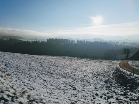 Wunderschöne Stimmung im Schwarzwald