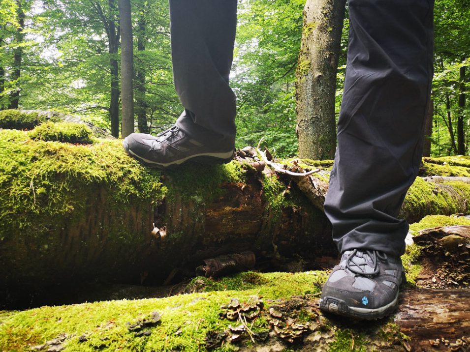 Debbie steht mit Wanderschuhen auf Baumstämmen im Wald