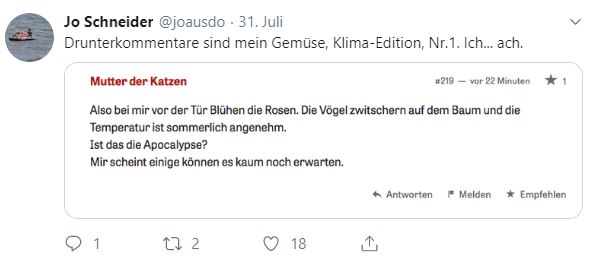 Kommentar zu Schneiders Essay