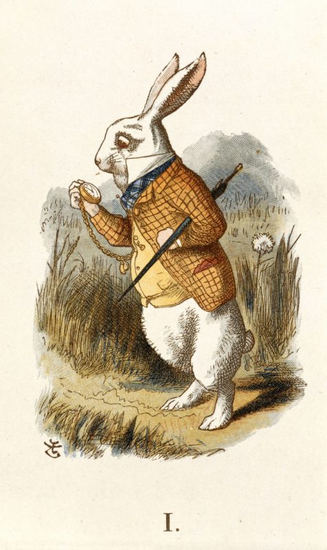 Das weiße Kaninchen