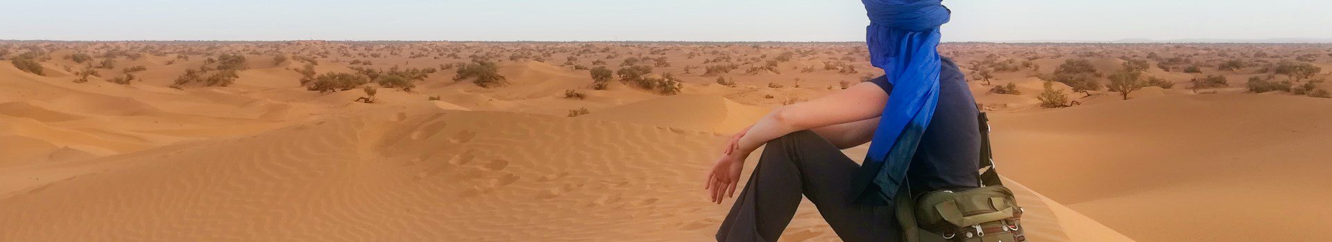 Status: Zurück aus der Sahara