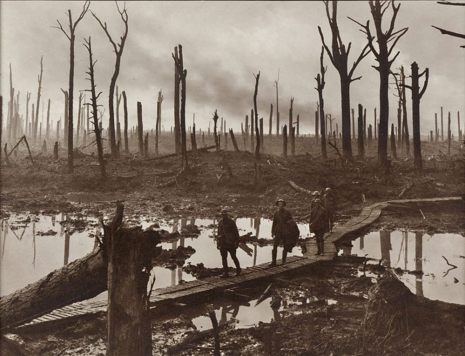 Chateau-Wald bei Ypern, 1917