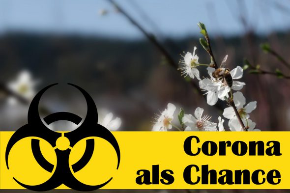 Corona ist auch eine Chance