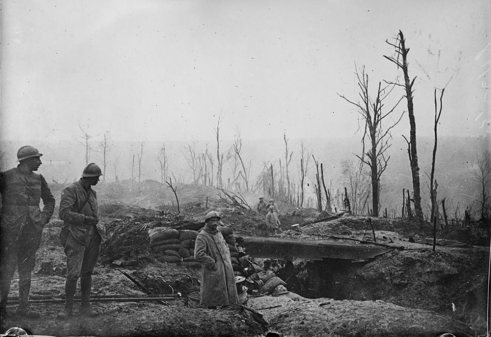 Zerstörte Bäume bei Verdun