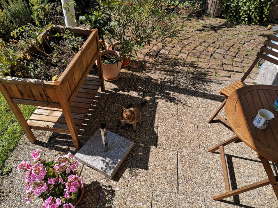 Terrasse: Rechts mein Platz, links meine Aussicht, zentral eine Katze