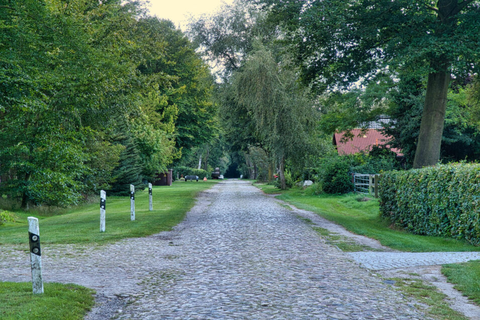 Foto einer Kopfsteinpflasterstraße durch eine Siedlung