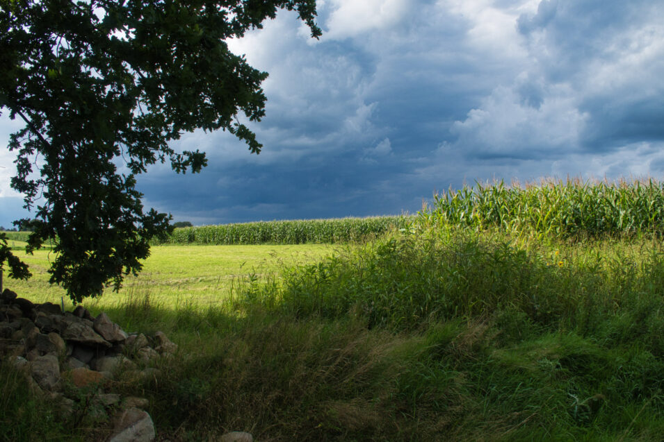 Landschaftsfoto