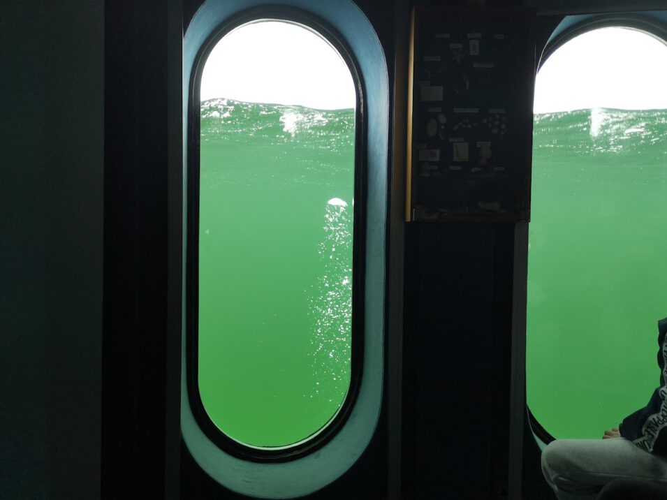 Bild aus der Tauchglocke nach außen. Vor dem Fenster grünes Wasser mit aufsteigenden Blasen