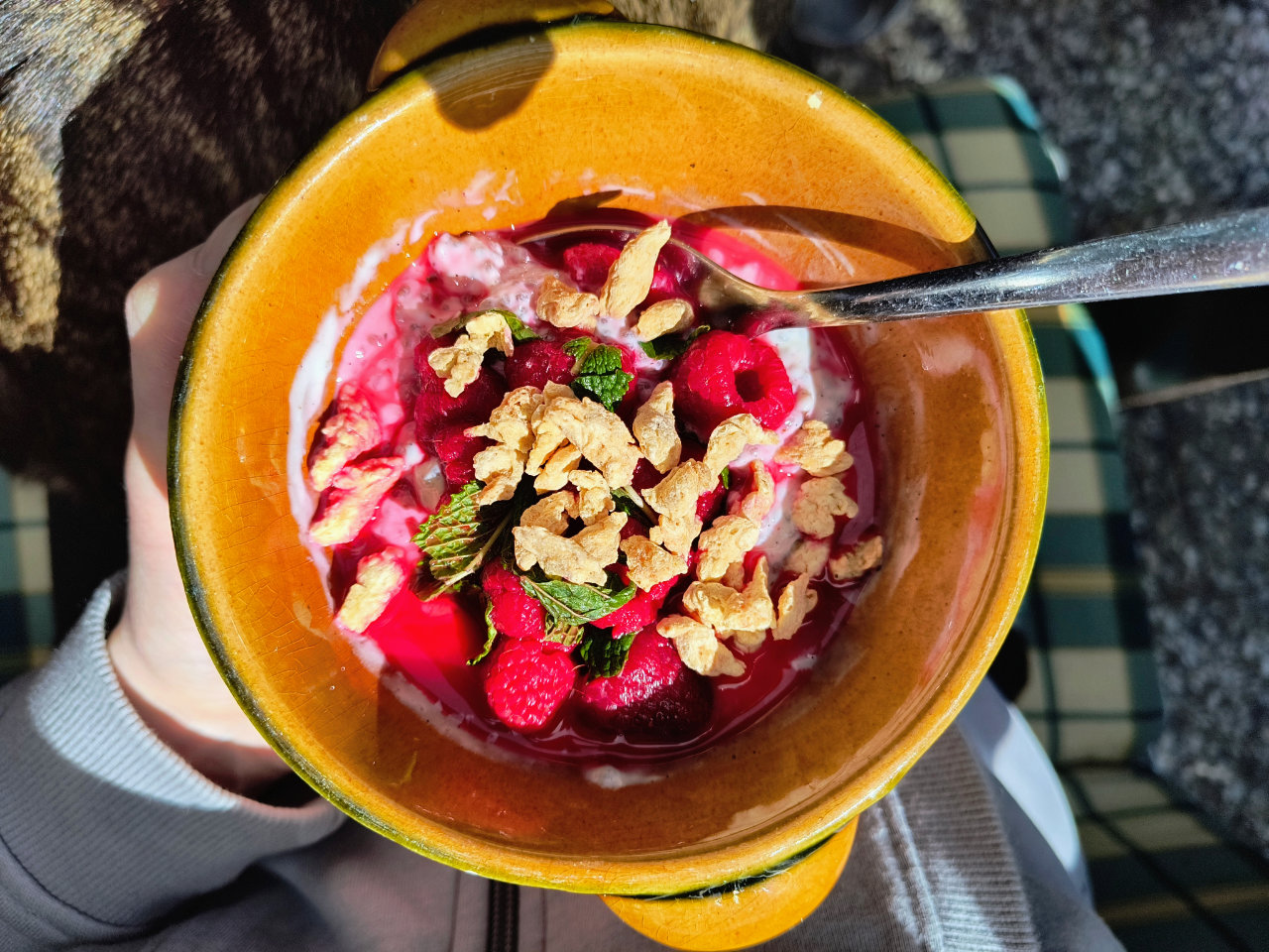 Blick in meine Frühstücksschüssel: Soja-Joghurt mit Chia-Samen, roten Beeren, Minze und Dinkelpops