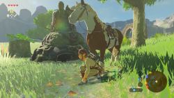 Mein erstes Pferd, das ich liebevoll Plötze genannt habe (nach The Witcher <3) Link und sein Pferd