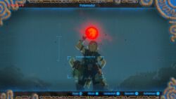 Selfie mit Blutmond :D Fotomodul in Breath of the Wild