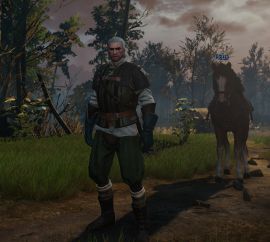 000_witcher