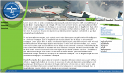 Design für eine Vereinshomepage, das man einige Jahre unter www.fsv-herrenberg.de in implementierter Form bewundern konnte. Bis auf das runde blaue Logo stammen alle Grafiken von mir. Juli 2005