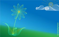 Filigrane Blumensachen Teil 2 mit Illustrator. November 2008