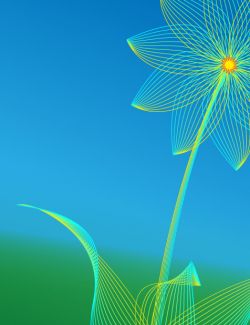 Filigrane Blumensachen mit Illustrator. November 2008