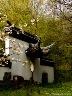 Chinesischer Garten in Bochum. Jaaaa, hab schon n bisschen was an dem Foto rumgedreht, bis es so aussah. Ist sicher auch nicht jedermanns Geschmack ^^ 14. April 2009