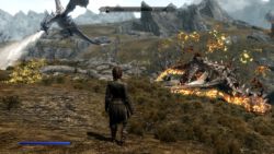 Ein Feuer- und ein Eis-Drache ^^ Unterwegs in der Welt