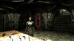 Mal in schwerer Rüstung in General Tullius' Kartenraum In Einsamkeit