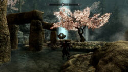 Lichtung der Ahnen Lichtung der Ahnen