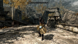 Neue Daedra-Rüstung (bisher fand ich die Drachenknochenrüstung toller) und neues Schild Unterwegs in der Welt