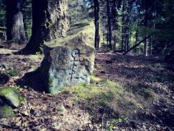 21.04.2016. Mystischer Stein im Schönauer Wald. Man sieht geradezu Elfen tanzen :D 21.04.2016