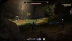 Lichtblick in einer Höhle, sooo idyllisch, wären da nicht überall diese Trolle ESO