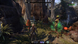 Audienz bei irgendeiner unsterblichen Dingstante des Waldes ESO