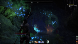 Höhle mit leuchtenden Dingern <3 ESO