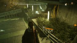Hanfplantage in Tiefgarage :D Tom Clancy's The Division